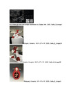 Callie Bowland - Various Works by Callie E. Bowland