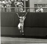 Hawk Scrambles for a Catch from the Dugout